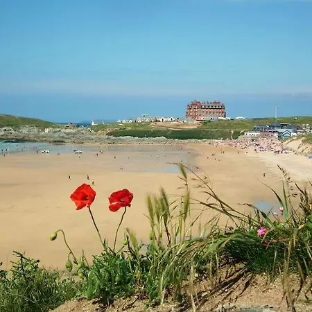 7 Cliff Edge * New Quay